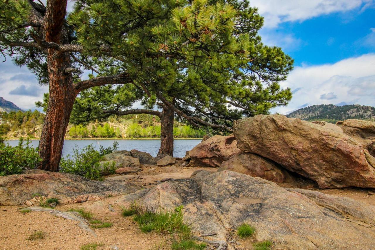 Twin Pines Cabin Estes Park Bagian luar foto